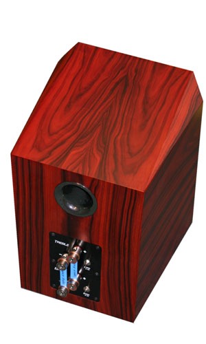 studio hd rosewood rear